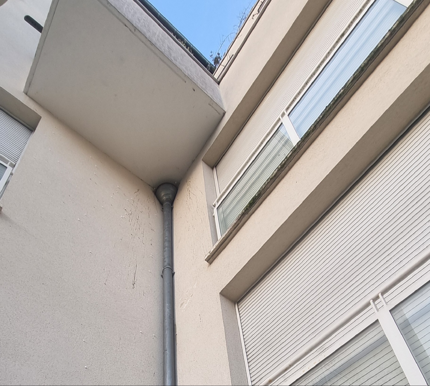 Nettoyage façade et pose grille anti-volatile